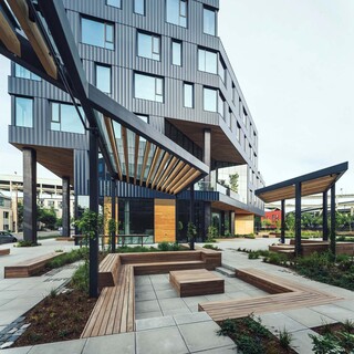 Field Office rooftop green area