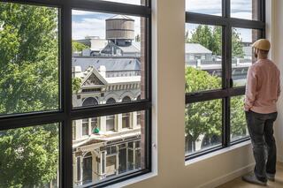 230 Ash indoor by windows