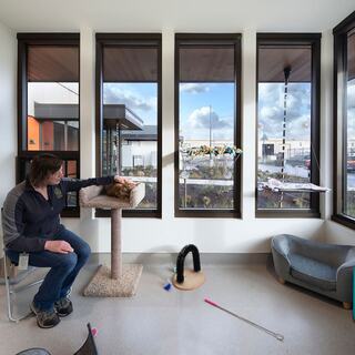 Oregon Humane Society - New Road Ahead waiting area a human and a cat