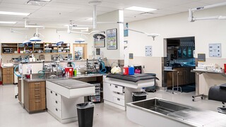 Oregon Humane Society - New Road Ahead operation room and table