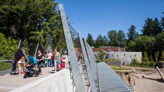 Oregon Zoo Elephant Lands outdoor viewing area