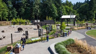 Oregon Zoo Elephant Lands outdoor viewing area