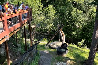 Oregon Zoo Black Bear/Boardwalk