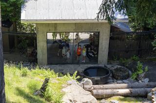Oregon Zoo Black Bear/Boardwalk