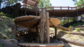 Oregon Zoo Black Bear/Boardwalk - Portland, Oregon