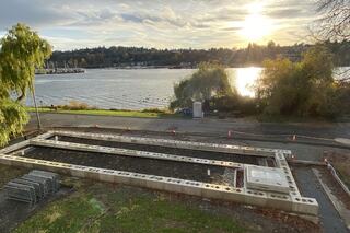 bioswale on the shore of University of Washington campus