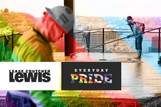 Diversity Equity and Inclusion at Lewis Hero