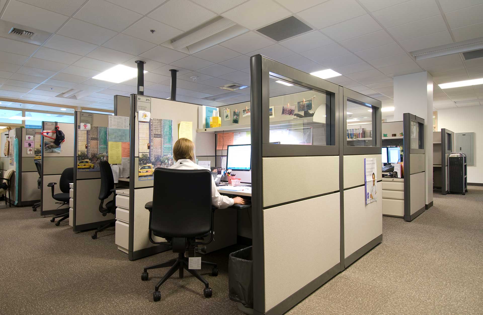 Fred hutch office cubicles with employee at desk