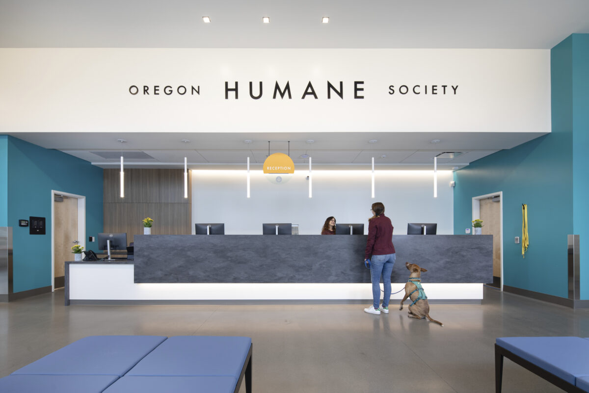 Two Years of Compassion: How Oregon Humane Society’s New Road Ahead Project is Transforming the Community